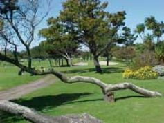 Rondebosch Golf Club 