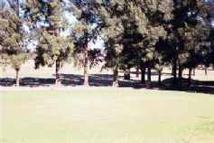 Bothaville Golf Club