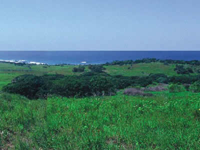 Ekubo Coastal Estate